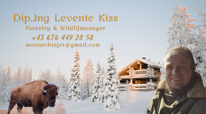 Dip.Ing  Levente Kiss
