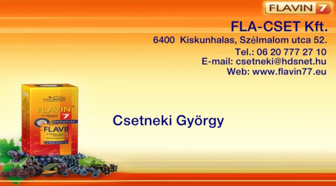 Fla-cset Kft. - Csetneki György - Flavin